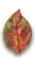colored2 Leaf