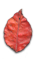 red Leaf